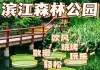 滨江森林公园好玩吗值得去吗_滨江森林公园门票多少钱