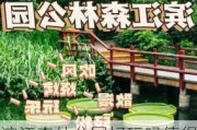 滨江森林公园好玩吗值得去吗_滨江森林公园门票多少钱