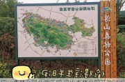 浮山森林公园儿童乐园,浮山森林公园开放时间