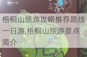 梧桐山旅游攻略推荐路线一日游,梧桐山旅游景点简介