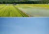 日本北海道旅游最佳季节_日本北海道夏季旅游攻略