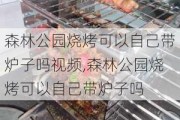 森林公园烧烤可以自己带炉子吗***,森林公园烧烤可以自己带炉子吗