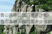 鲁山森林公园门票多少钱-鲁山森林公园门票多少钱啊