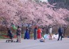 顾村公园樱花节门票预约入口,顾村公园樱花节攻略