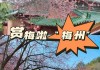 梅州客家公园梅花盛开-梅州客家公园开放时间