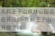 花都王子山森林公园现在开放吗-花都王子山开放了吗