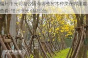 福州市光明港公园有哪些树木种类在哪里能查看-福州市光明港公园