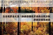 武汉到云南自驾游最佳路线及费用,武汉至云南自助游攻略