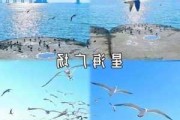 大连二曰游,大连攻略二日游旅游攻略