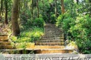 深圳笔架山公园有什么好玩的地方,深圳笔架山公园有什么好玩的