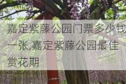 嘉定紫藤公园门票多少钱一张,嘉定紫藤公园最佳赏花期