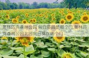 奥林匹克森林公园 向日葵园是哪个门,奥林匹克森林公园北园向日葵在哪个门