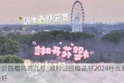 顾村公园樱花节几号_顾村公园樱花节2024什么时候开最好