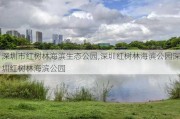 深圳市红树林海滨生态公园,深圳红树林海滨公园深圳红树林海滨公园