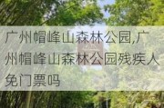 广州帽峰山森林公园,广州帽峰山森林公园残疾人免门票吗