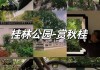 上海桂林公园游记-上海桂林自助游攻略