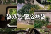 上海桂林公园游记-上海桂林自助游攻略