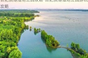 合肥滨湖湿地公园攻略-合肥滨湖湿地公园游玩攻略