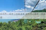 昆明西山森林公园索道票,昆明西山森林公园索道