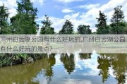 广州白云湖公园有什么好玩的,广州白云湖公园有什么好玩的景点?