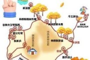 胡杨林的旅游攻略-胡杨林旅游攻略燕子