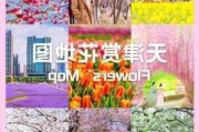 天津长虹公园几月份开花,天津长虹公园开放时间