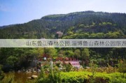 山东鲁山森林公园,淄博鲁山森林公园旅游