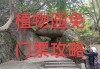 厦门万石植物园门票早上六点半之前免费?,厦门万石植物园攻略南门进西门出口