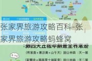 张家界旅游攻略百科-张家界旅游攻略蚂蜂窝