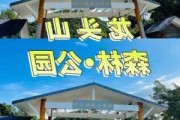 龙头山森林公园营业时间,龙头山公园项目