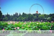 合肥杏花公园占地面积_合肥杏花公园旁边大厦叫什么