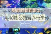 长风公园海洋世界哪个门进-长风公园海洋世界停车