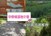 深圳华侨城湿地公园门票,深圳华侨城湿地公园门票优惠政策