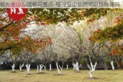 福州金山公园梅花景点-福州金山公园可以搭帐篷吗