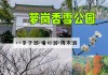 萝岗香雪公园门票多少钱啊_萝岗香雪公园门票多少钱