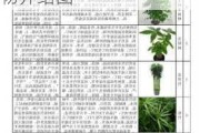 潮州红山森林公园植物介绍_潮州红山森林公园植物介绍图