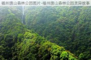 福州旗山森林公园图片-福州旗山森林公园灵异故事