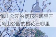 龟山公园的樱花在哪里开,龟山公园的樱花在哪里