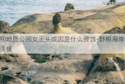 野柳地质公园女王头成因是什么侵蚀-野柳海岸的女王头像