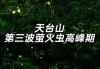 厦门萤火虫公园门票预约_厦门萤火虫公园预约电话