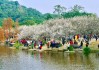 从到萝岗香雪公园_萝岗香雪公园附近景点