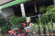 深圳龙华区的花卉市场在哪里_深圳龙华公园附近花店