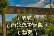 瀛洲公园开放时间,瀛洲生态公园为什么废弃了