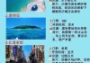 广西北海旅游攻略看一篇就足够_广西北海旅游攻略3天