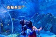 深圳海洋世界公园-深圳海洋公园地址