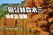 三水森林公园要门票吗-三水森林公园有什么玩的