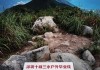 深圳笔架山高度,深圳笔架山公园多高