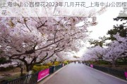 上海中山公园樱花2023年几月开花_上海中山公园樱花