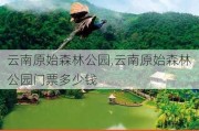 云南原始森林公园,云南原始森林公园门票多少钱