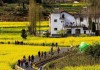 汉城湖景点,汉城湖遗址公园油菜花